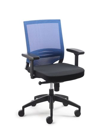 Stuhl fürs Homeoffice ergonomischer Drehstuhl, Synchronmechanik, Sicherheitslift, punktsynchrone Stütze