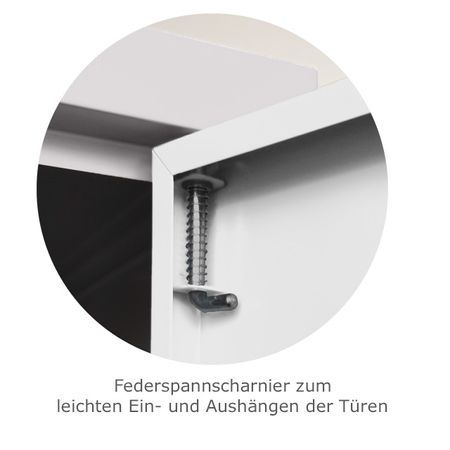 Federspannscharnier